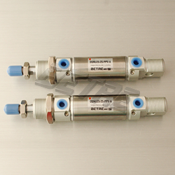 DSN Series Stainless Steel Mini Cylinder
